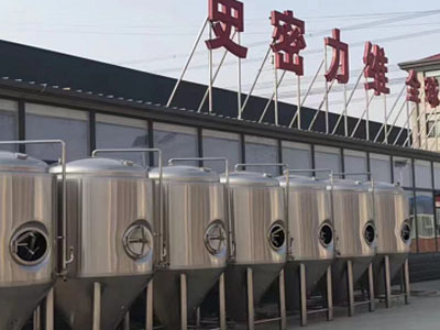 天门精酿啤酒设备厂—如何判断精酿啤酒设备的密封件需要更换？